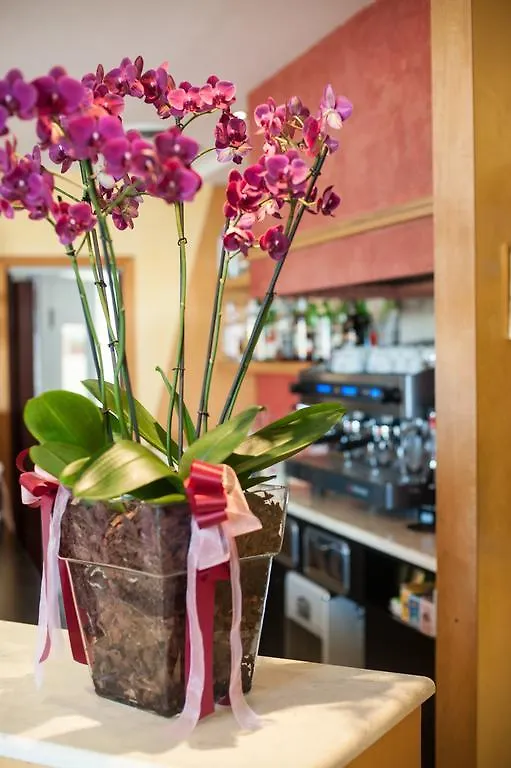 Anghiari Hotel